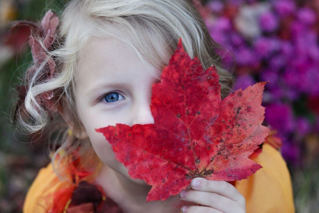 Yin Yoga Estacional: Otoño