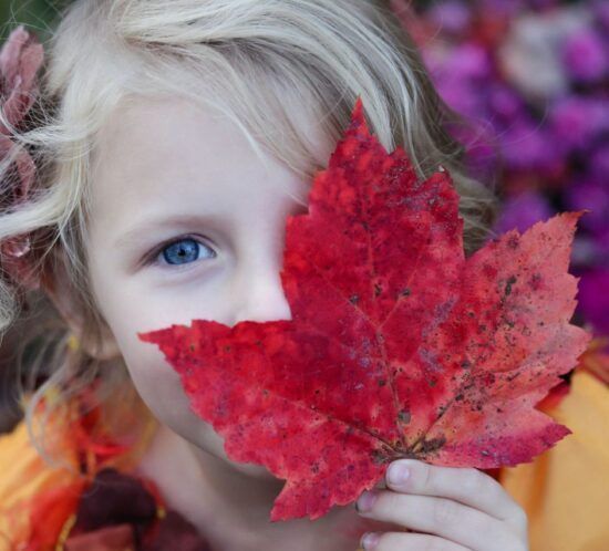 Yin Yoga Estacional: Otoño