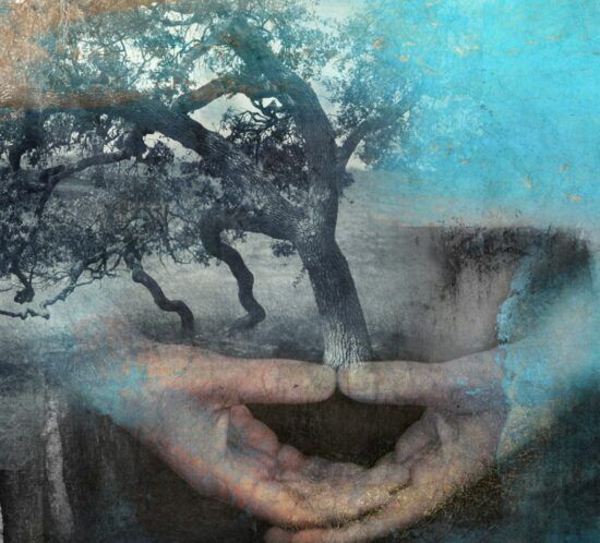 Muladhara en equilibrio
