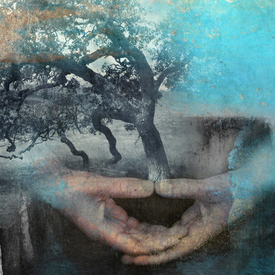 Muladhara en equilibrio