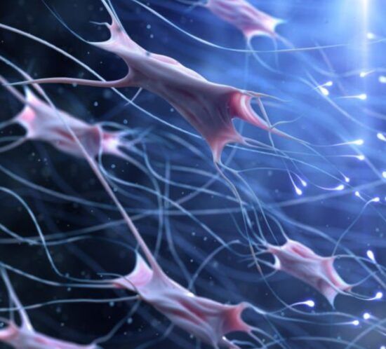 Fibroblastos generando fibras de colágeno
