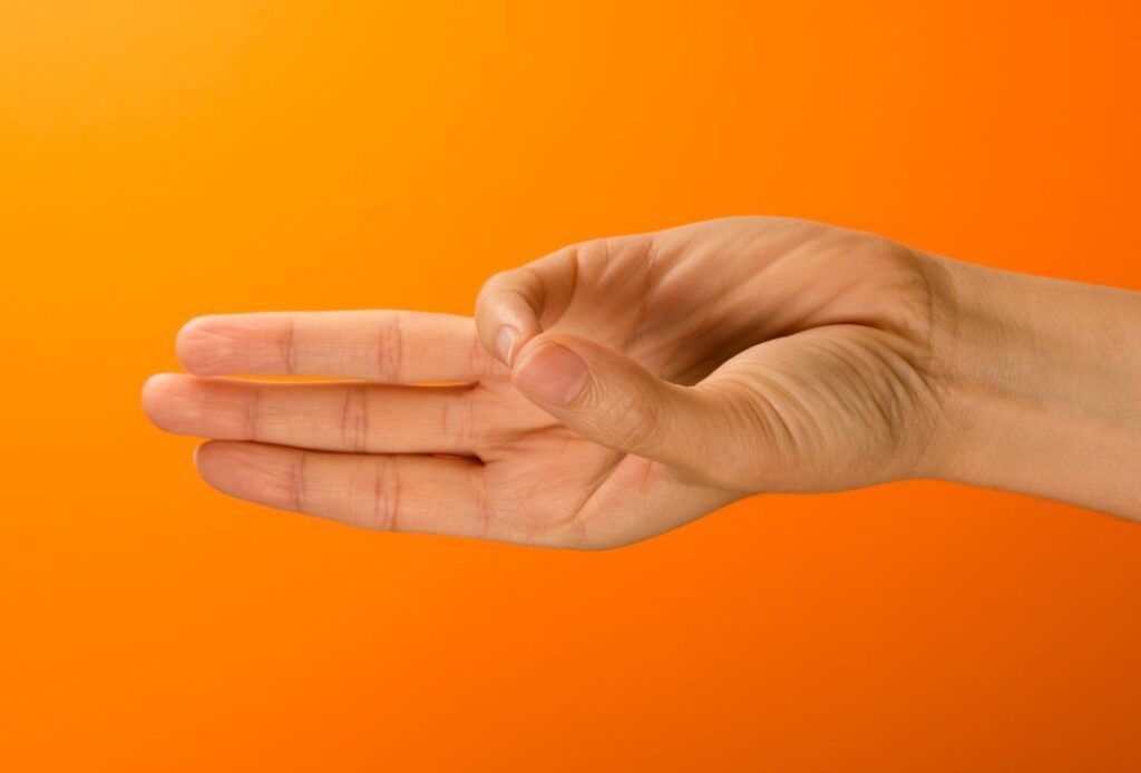 Jala Mudra