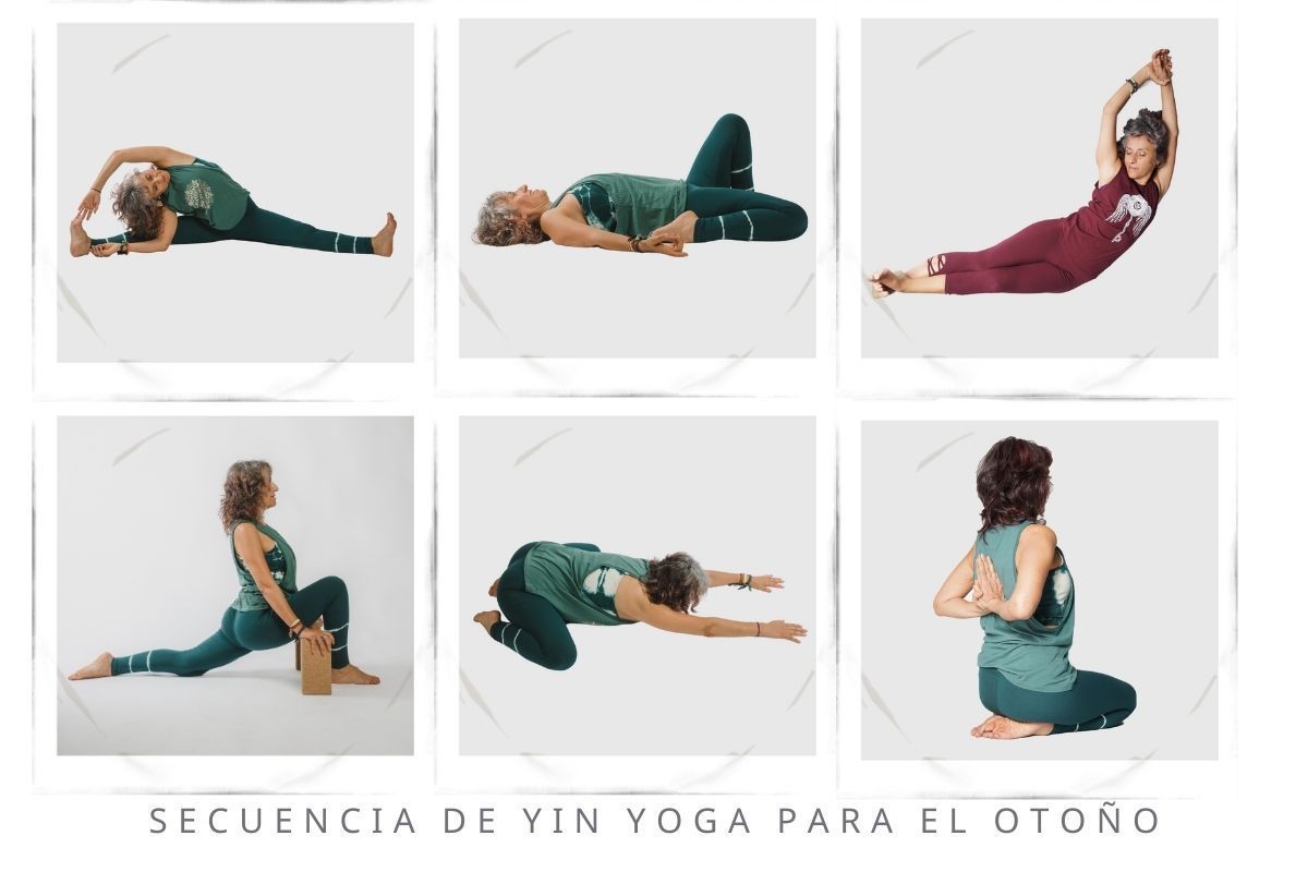 La anatomía miofascial de cada estación