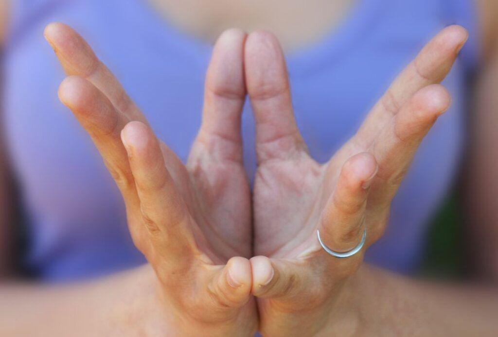 Padma o Mudra del Loto