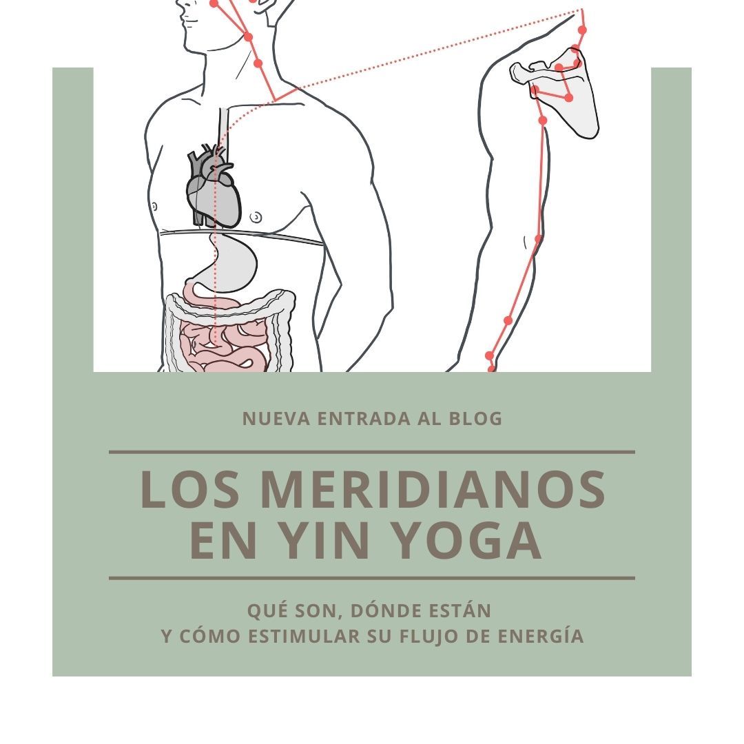 Familiarízate con esta red de canales energéticos