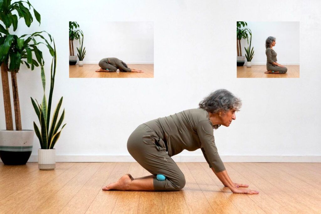 De Mesa a Balasana a Seiza